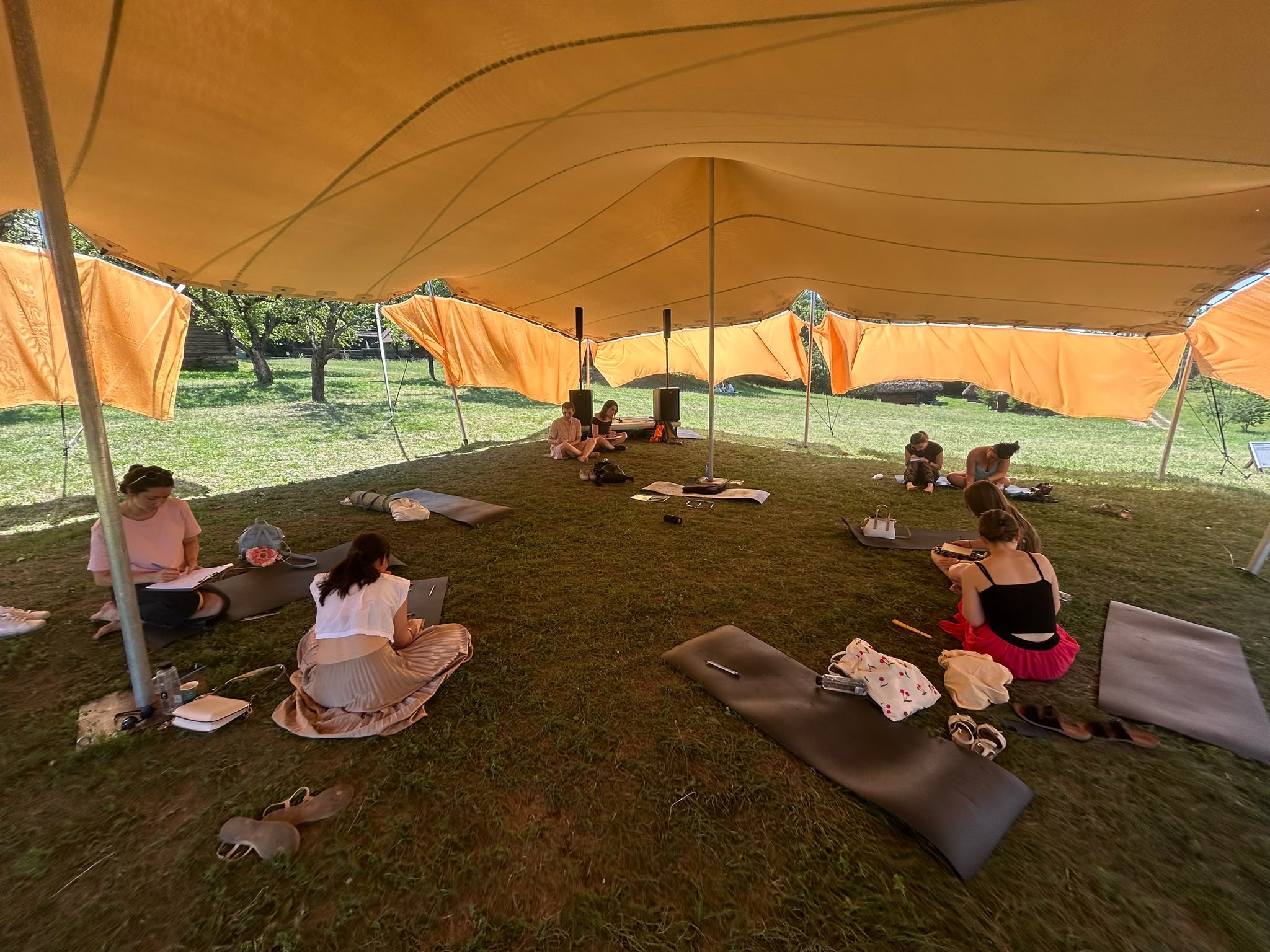 Corpul ca un copac - Wild Therapy Space - 4